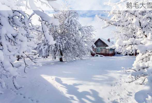 鹅毛大雪