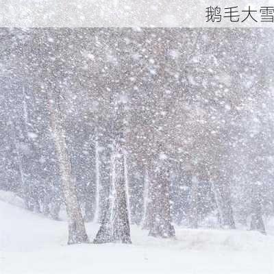 鹅毛大雪