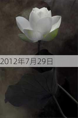 2012年7月29日