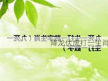 降龙伏虎打一生肖