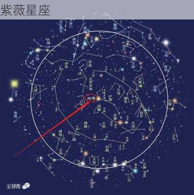 紫薇星座