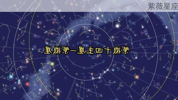 紫薇星座