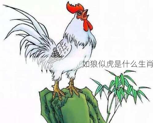 如狼似虎是什么生肖