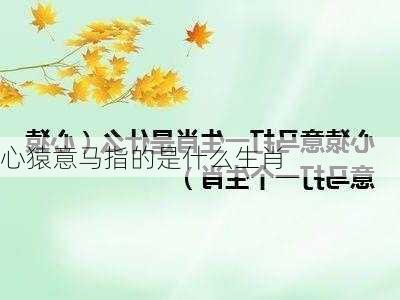 心猿意马指的是什么生肖