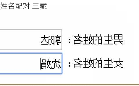 姓名配对 三藏