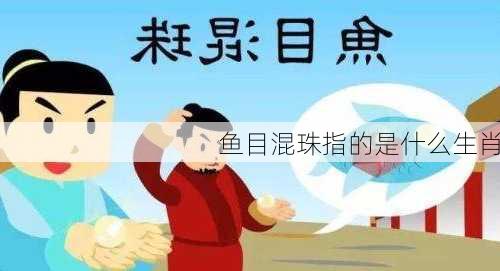 鱼目混珠指的是什么生肖