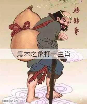 震木之象打一生肖