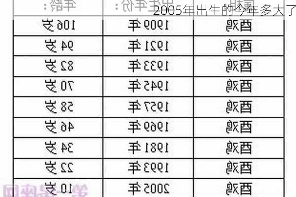 2005年出生的今年多大了