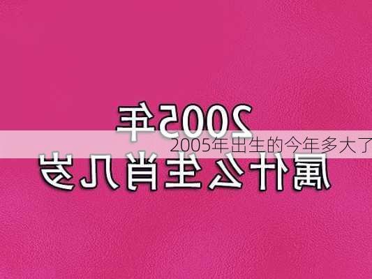 2005年出生的今年多大了