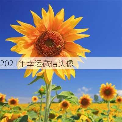 2021年幸运微信头像