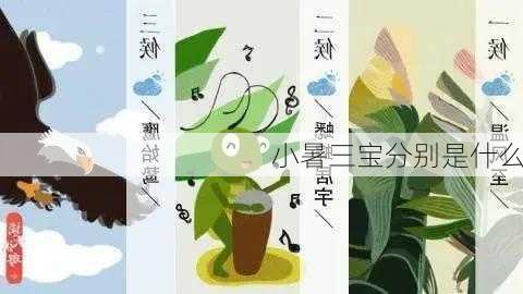 小暑三宝分别是什么