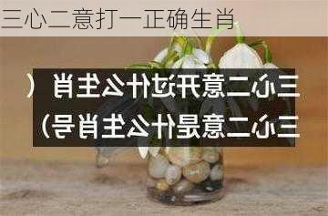 三心二意打一正确生肖