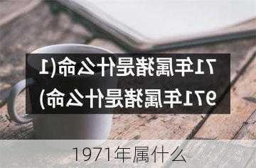 1971年属什么