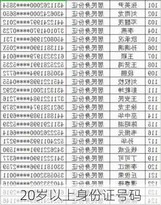 20岁以上身份证号码