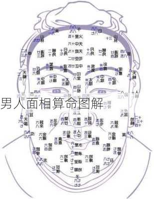 男人面相算命图解