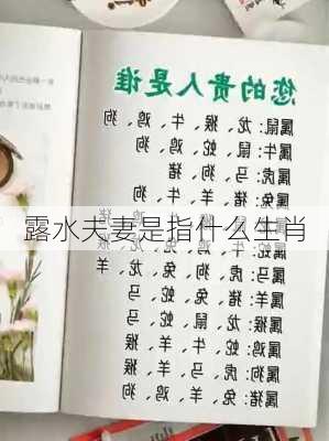 露水夫妻是指什么生肖